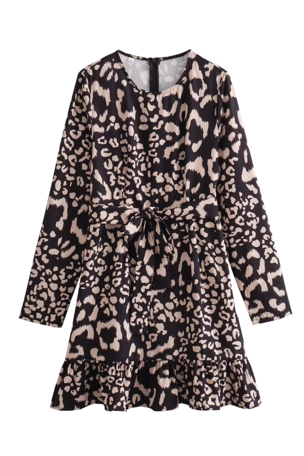 Leopard Print Long Sleeved Dress